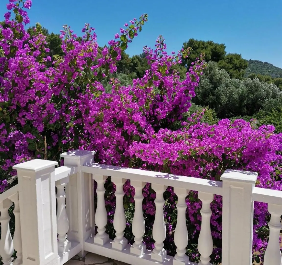 Apartment Vanja Mali Losinj Croatia