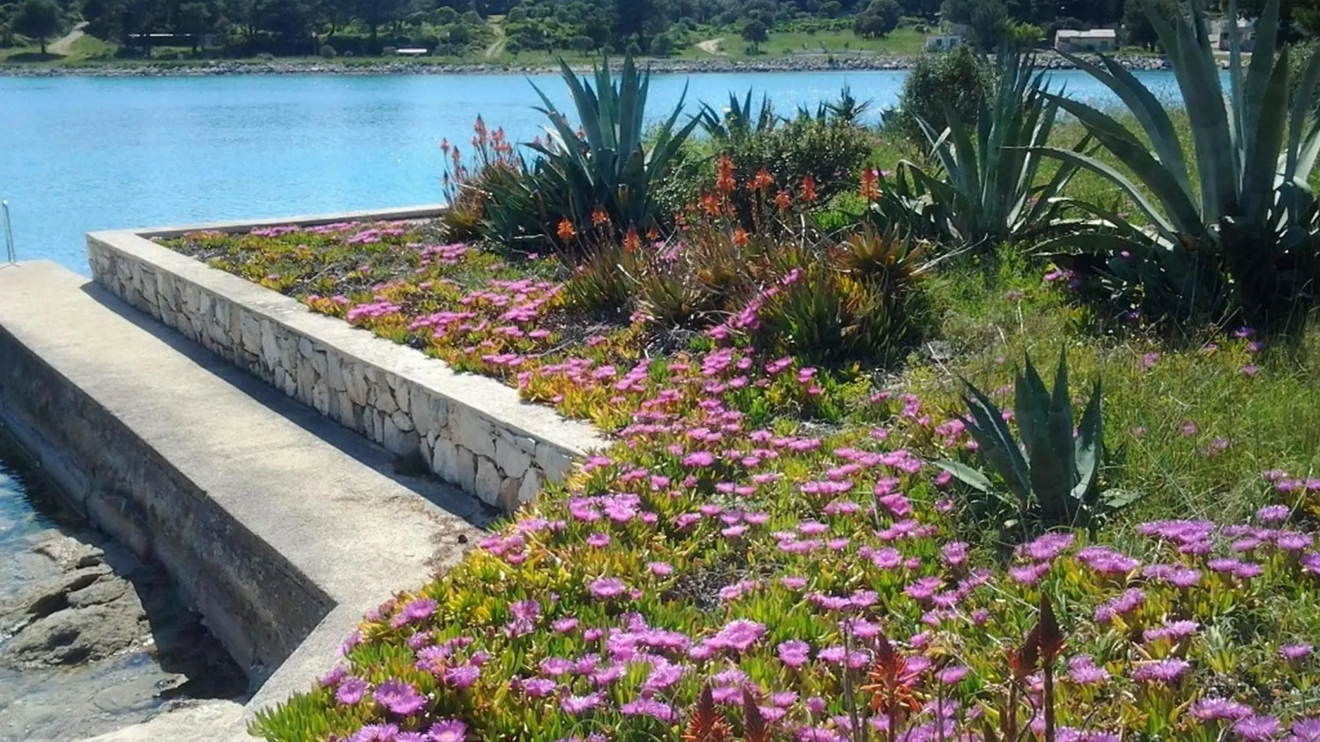 Apartment Vanja Mali Losinj